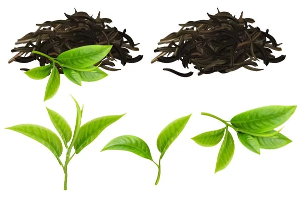 茶香系列小煙油推薦-鐵觀音與茉莉花茶風味